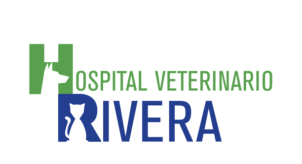 Logo de Hospital Veterinario Rivera